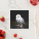 Zoek naar roofvogel servetten Uil