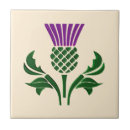 Zoek naar distel tegels Schotel