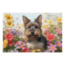 Zoek naar flower power kunst Bloemen