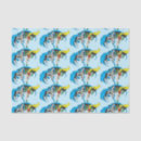 Zoek naar batman tissue papier Gotham city