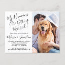 Zoek naar katten huwelijk uitnodigingen Koppel