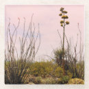 Zoek naar reizen onderzetters Foto