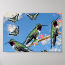 Zoek naar tropische vlinder posters Natuur