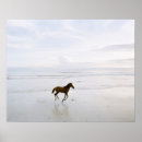 Zoek naar paard strand posters Fantasie