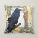 Zoek naar raven kussens Vogels