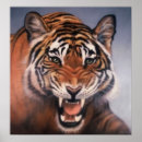 Zoek naar tijger ogen posters Bont