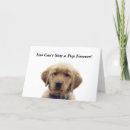 Zoek naar golden retriever puppy kaarten Dieren