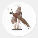 Zoek naar fazant stickers Wild