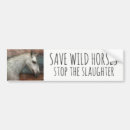 Zoek naar wild paard bumperstickers Paarden