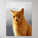 Zoek naar zelf portret posters Grijs