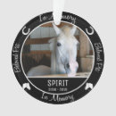 Zoek naar verlies paard geschenken Foto