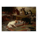 Zoek naar buik kaarten Gezelschapsdieren