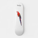 Zoek naar peuter skateboards Vogel