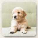 Zoek naar bank onderzetters Puppy