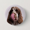 Zoek naar oren buttons Hond