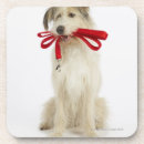 Zoek naar volledige lengte onderzetters Verticaal