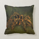 Zoek naar spin kussens Tarantula