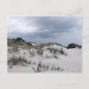 Zoek naar zand duinen briefkaarten Stranden