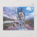 Zoek naar grijze wolf briefkaarten Wolven