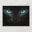 Zoek naar katten gezicht briefkaarten Zwart