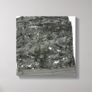 Zoek naar fossielen kunst Geologie