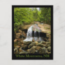 Zoek naar waterval briefkaarten Bos