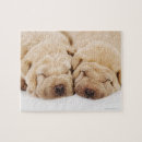 Zoek naar slaap puzzels Fotografie