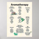 Zoek naar aromatherapie posters Wellness