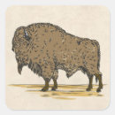 Zoek naar bizon stickers Bruin