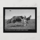 Zoek naar believe briefkaarten Ufo