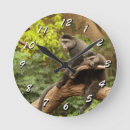 Zoek naar aap klokken Natuur