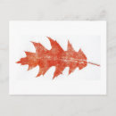 Zoek naar eik briefkaarten Landschap