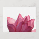 Zoek naar lotusbloem briefkaarten Plant
