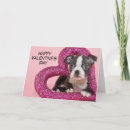 Zoek naar valentines fotografie Dieren