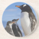 Zoek naar wildlife onderzetters Familie