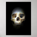 Zoek naar skull kunst Steen