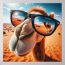 Zoek naar cartoon kameel posters Zand