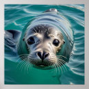 Zoek naar plakken posters Schattig