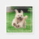 Zoek naar baard servetten Huisdier