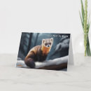 Zoek naar marten posters Natuur