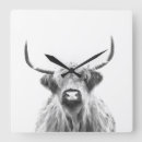 Zoek naar zwart witte koe klokken Dier