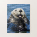 Zoek naar monterey puzzels Oceaan