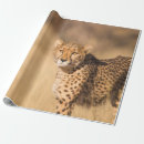 Zoek naar leopard cadeaupapier Wilde dieren