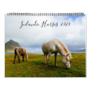 Zoek naar paarden fotografie Elk persoon