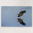Zoek naar adelaar puzzels Blauw