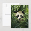 Zoek naar panda briefkaarten Bos