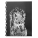 Zoek naar eekhoorn notitieboeken Wilde dieren