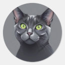 Zoek naar russische blauwe kat stickers Dier