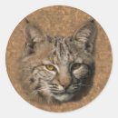 Zoek naar bobcat stickers Wild