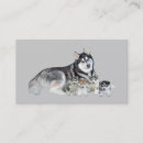 Zoek naar husky visitekaartjes Puppy